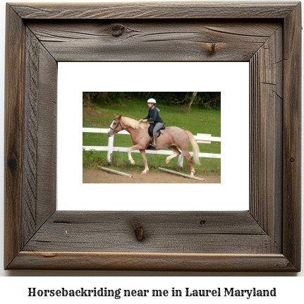 horseback riding near me in Laurel, Maryland